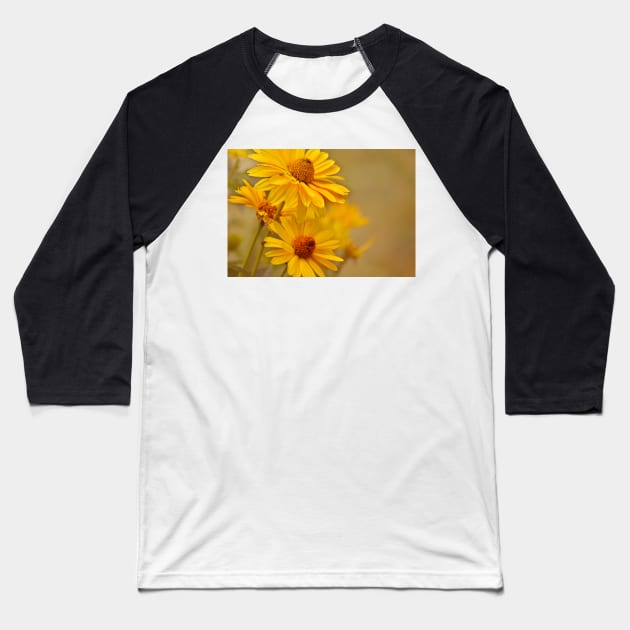 Yellow = Cheer Baseball T-Shirt by LaurieMinor